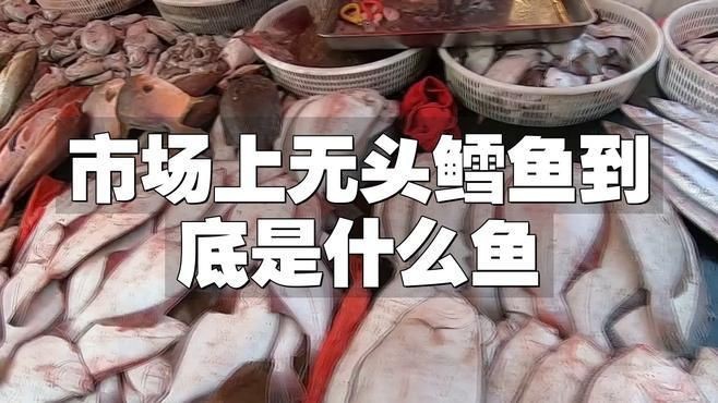 冷凍的無頭魚是什么魚【市場上常見的“無頭魚”到底是什么魚】 冷凍的無頭魚是什么魚【市場上常見的“無頭魚”到底是什么魚】 龍魚百科 第1張
