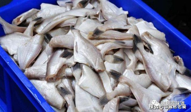 冷凍的無頭魚是什么魚【市場上常見的“無頭魚”到底是什么魚】 冷凍的無頭魚是什么魚【市場上常見的“無頭魚”到底是什么魚】 龍魚百科 第5張