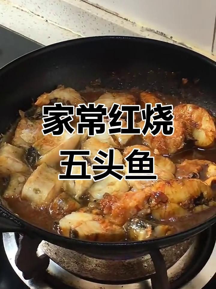 冷凍的無頭魚是什么魚【市場上常見的“無頭魚”到底是什么魚】 冷凍的無頭魚是什么魚【市場上常見的“無頭魚”到底是什么魚】 龍魚百科 第11張
