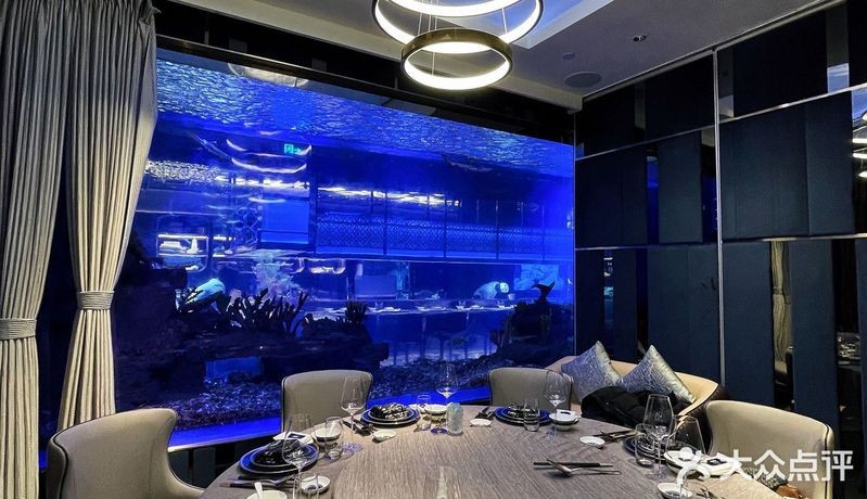 長(zhǎng)寧水族店【《長(zhǎng)寧水族店：水族愛好者的夢(mèng)幻之地》】