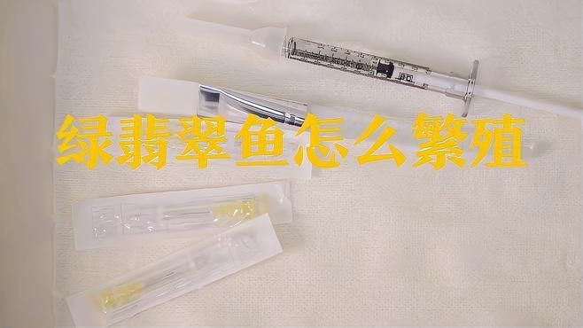 綠翡翠魚是產卵還是生小魚呢【綠翡翠魚怎么繁殖】