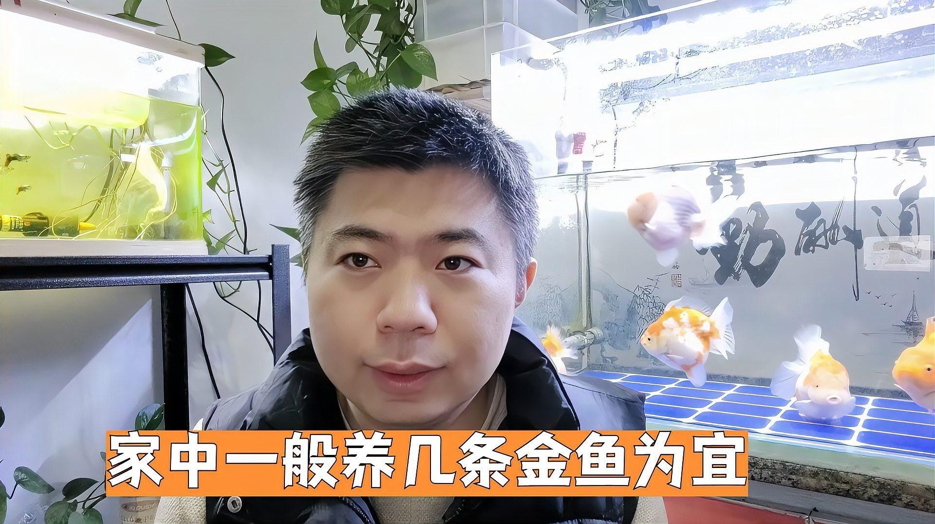 金魚一般買幾條最吉利【關于金魚買幾條最吉利，有多種說法，從傳統風水來看】