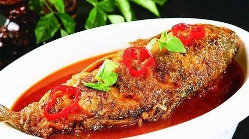 白銀區(qū)龍魚(yú)店【江小漁鮮魚(yú)火鍋的具體地址在哪里】