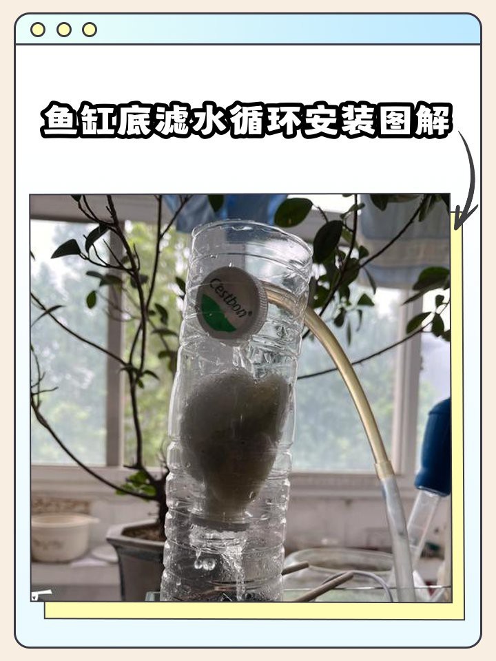 底濾缸上下水管安裝【底濾缸上下水管的正確安裝】