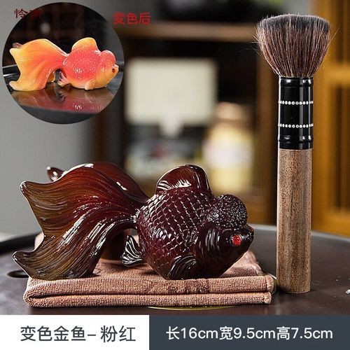 錦鯉的變色過(guò)程圖片【《錦鯉變色過(guò)程：奇妙色彩的漸變之旅》】