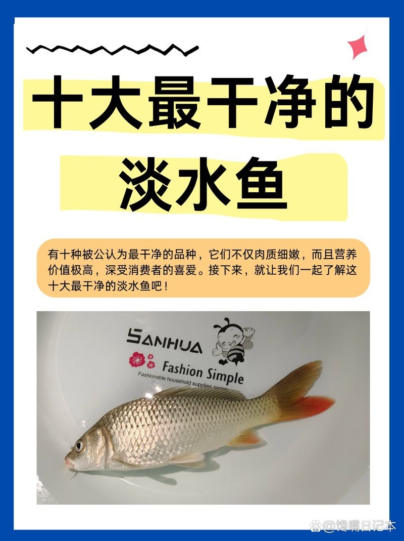 十大最干凈的魚排名【十大最干凈的淡水魚排名第一的十大最干凈的淡水魚】