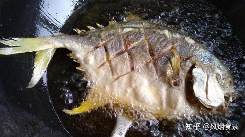 金椒龍魚為何要少吃【大豐-大眾點評金椒龍魚多久吃一次合適】