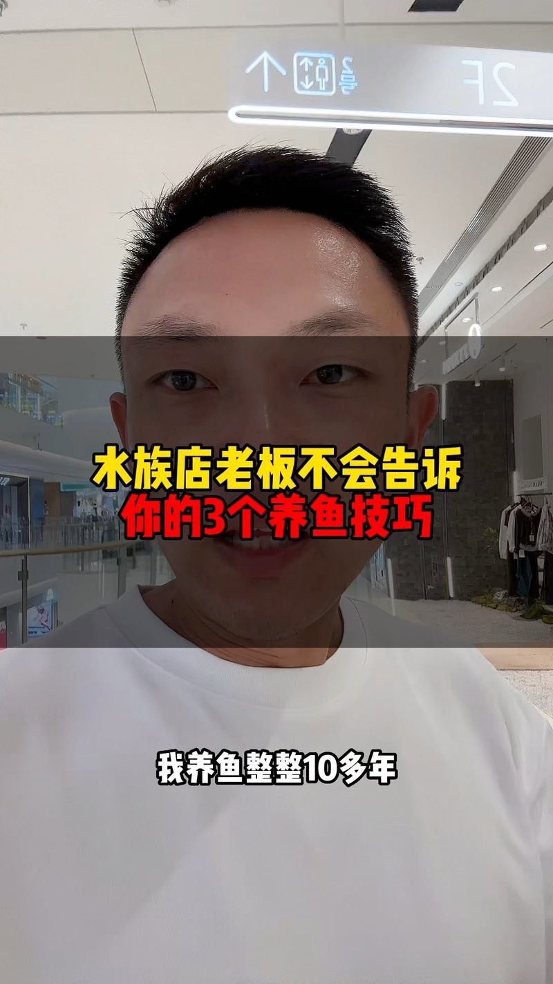 澄邁水族店【澄邁縣水族店哪家口碑最好】