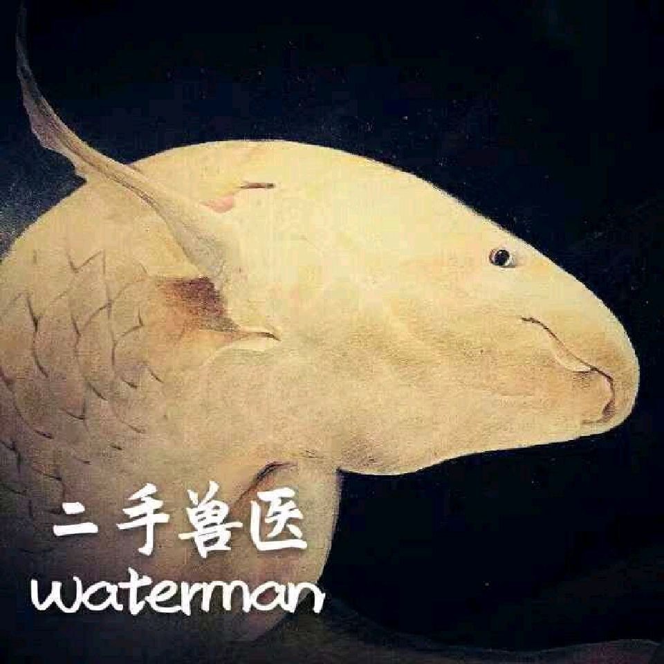 蝴蝶鯉多大開始長尾巴【蝴蝶鯉發尾后如何保持尾巴完整性和美觀度36,蝴蝶鯉多大開始長尾巴】