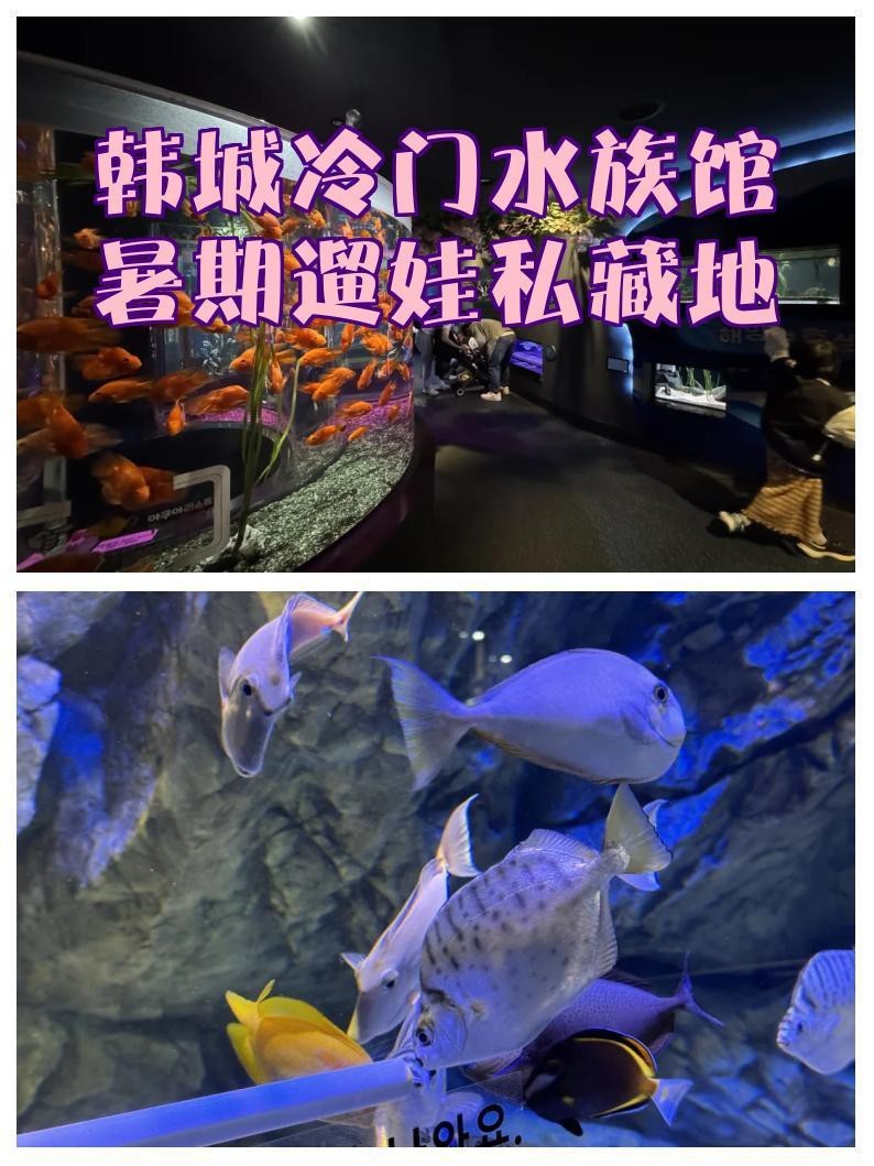 高陽水族店【高陽市一山aquaplanet水族館之行攜程旅行網】
