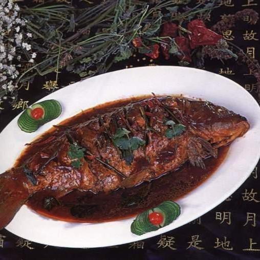 蛟河龍魚店【蛟河龍魚店哪家口碑最好】