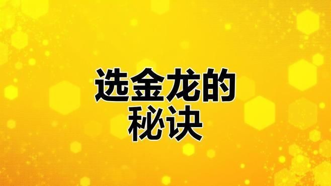 如何挑選優(yōu)質(zhì)金龍魚【如何挑選優(yōu)質(zhì)的金龍魚】