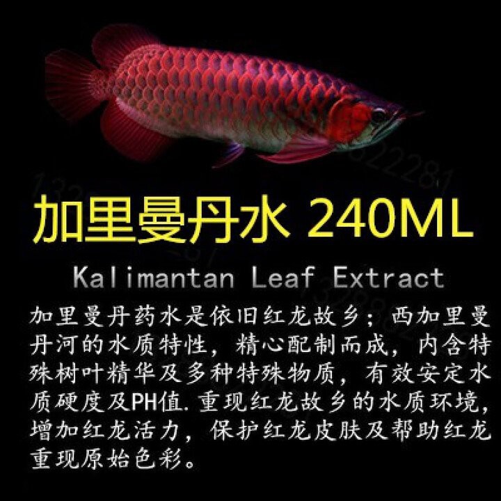 龍魚(yú)專(zhuān)用魚(yú)藥哪里可以購(gòu)買(mǎi)到？【龍魚(yú)專(zhuān)用魚(yú)藥有哪些品牌推薦？】