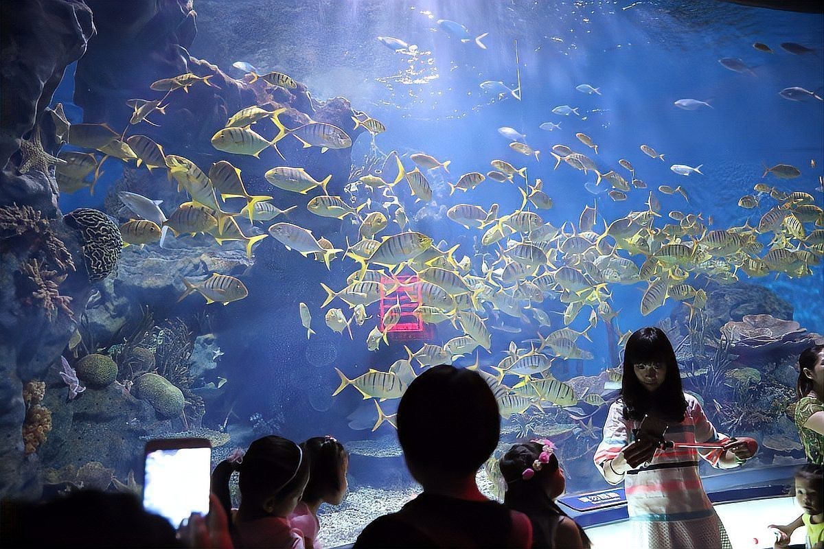 連云港水族店【連云港市主要水族店及相關海洋館】