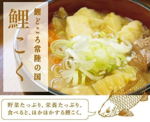 日本淡水魚大全一覽表【《日本淡水魚大全一覽表》】