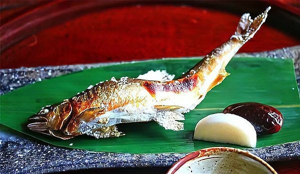 日本淡水魚大全一覽表【《日本淡水魚大全一覽表》】