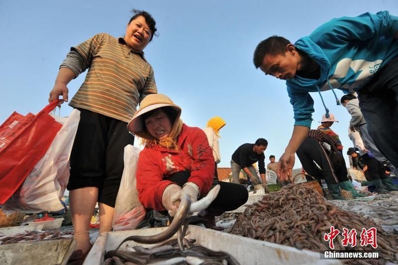 哪里可以購買到巨骨舌魚？【如何購買巨骨舌魚】