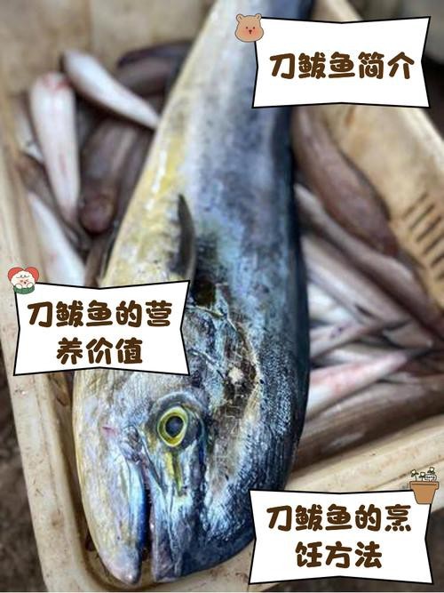 刀鱭魚圖片【刀鱭魚是一種極具特色的魚類，文中呈現的刀鱭魚】