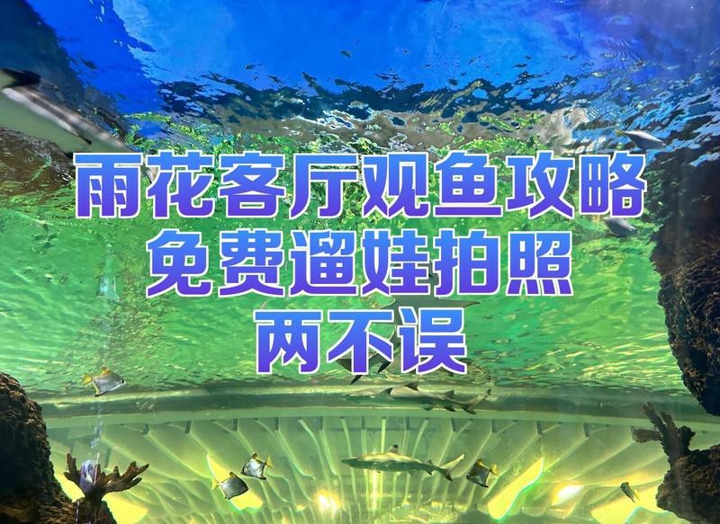 雨花臺龍魚店【南京雨花臺區(qū)有龍魚實體店嗎】