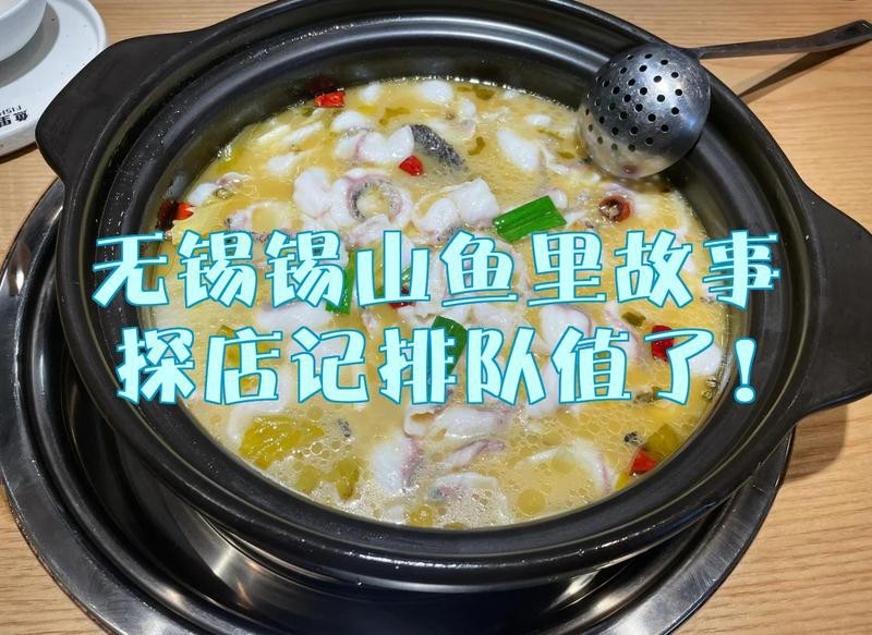 錫山龍魚店【無錫錫山龍魚店：水中珍品的奇幻世界，宛如一個隱匿在城市中的神秘水族寶藏之地】