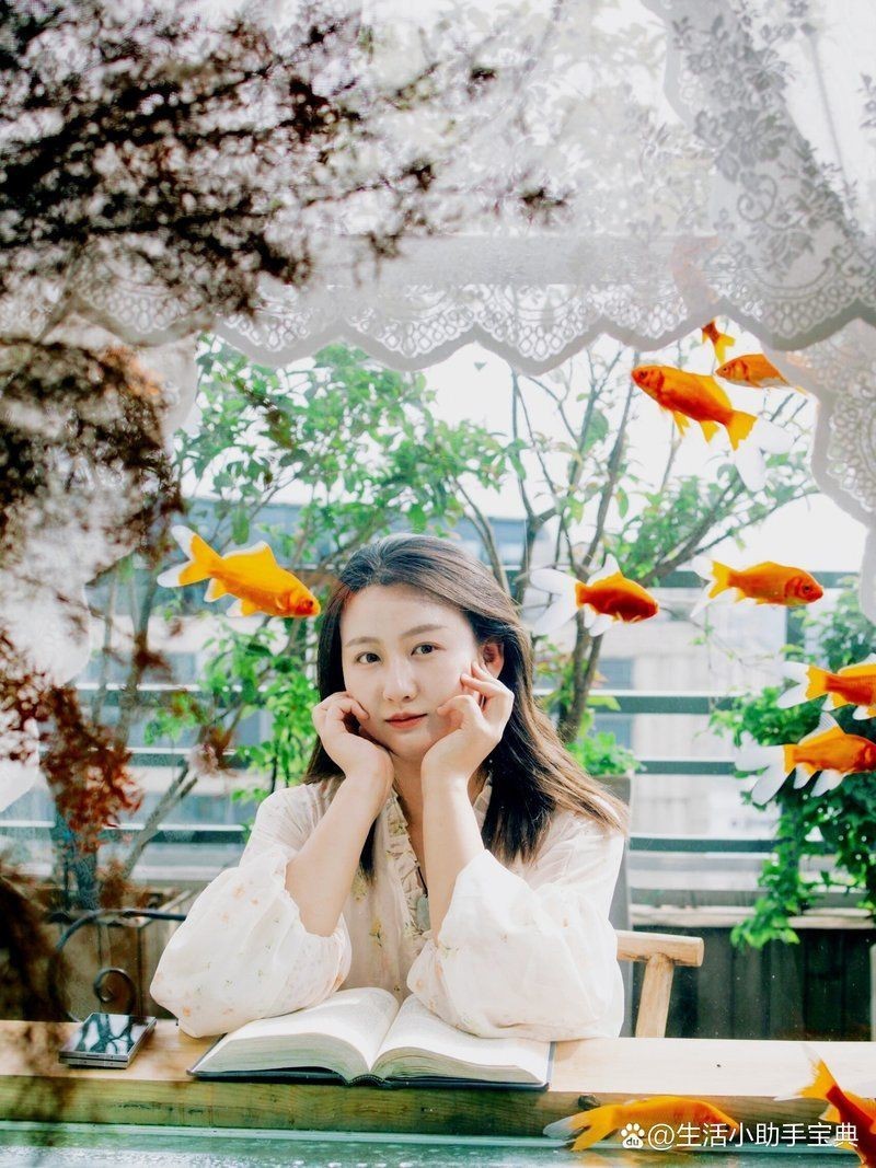 銅陵魚缸店【銅陵魚缸店——水族愛(ài)好者的寶藏之地】