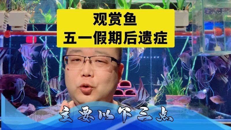 紅財神魚不吃食最簡單解決辦法【紅財神魚不吃食怎么辦】