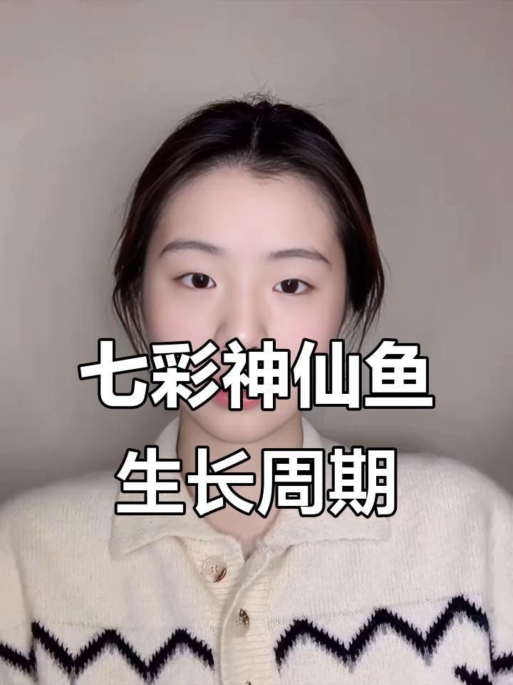 藍面財神七彩神仙魚【藍面財神七彩神仙魚養(yǎng)殖技巧】