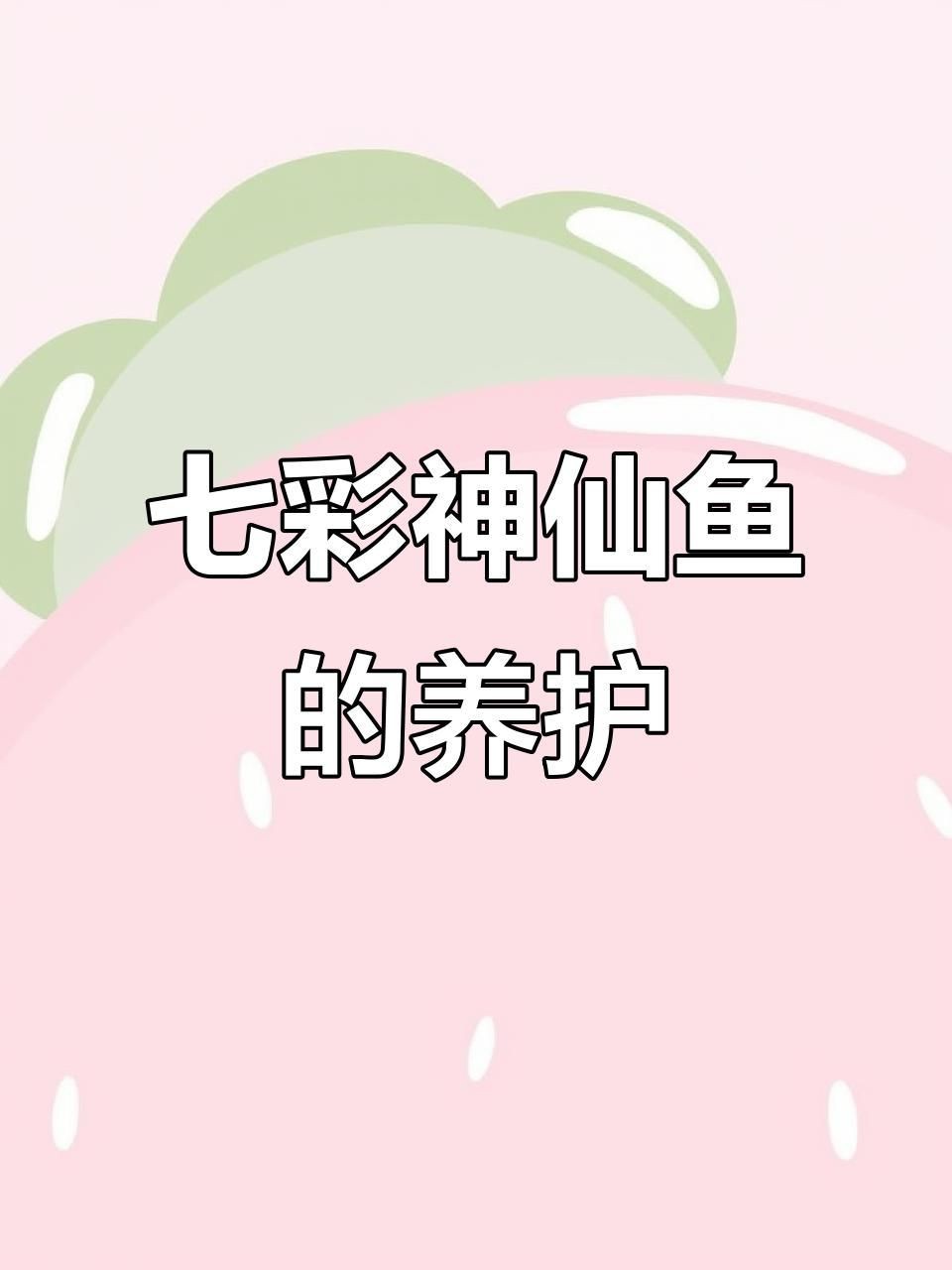 藍面財神七彩神仙魚【藍面財神七彩神仙魚養(yǎng)殖技巧】