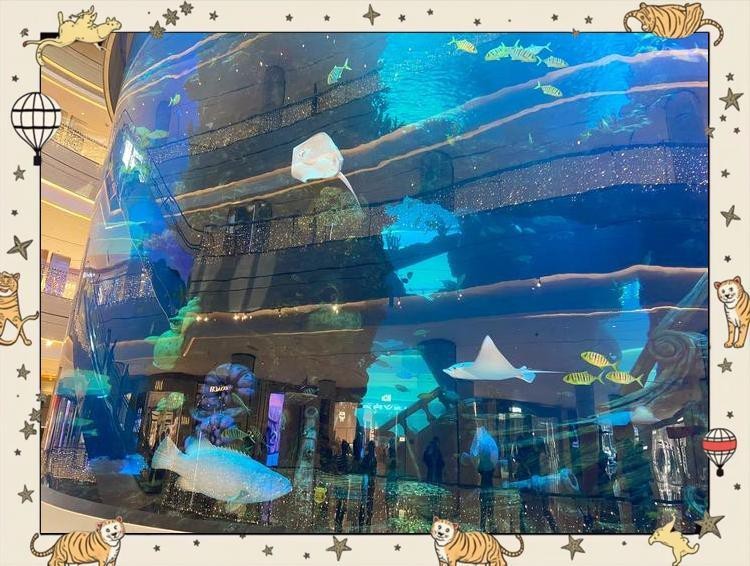 涪城水族店【涪城水族店：水中精靈的奇妙世界】