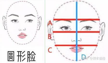 免費(fèi)拍臉測臉型【趙麗穎、李宇春、劉亦菲、劉亦菲、劉亦菲、劉亦菲、劉亦菲、劉亦菲、劉亦菲】