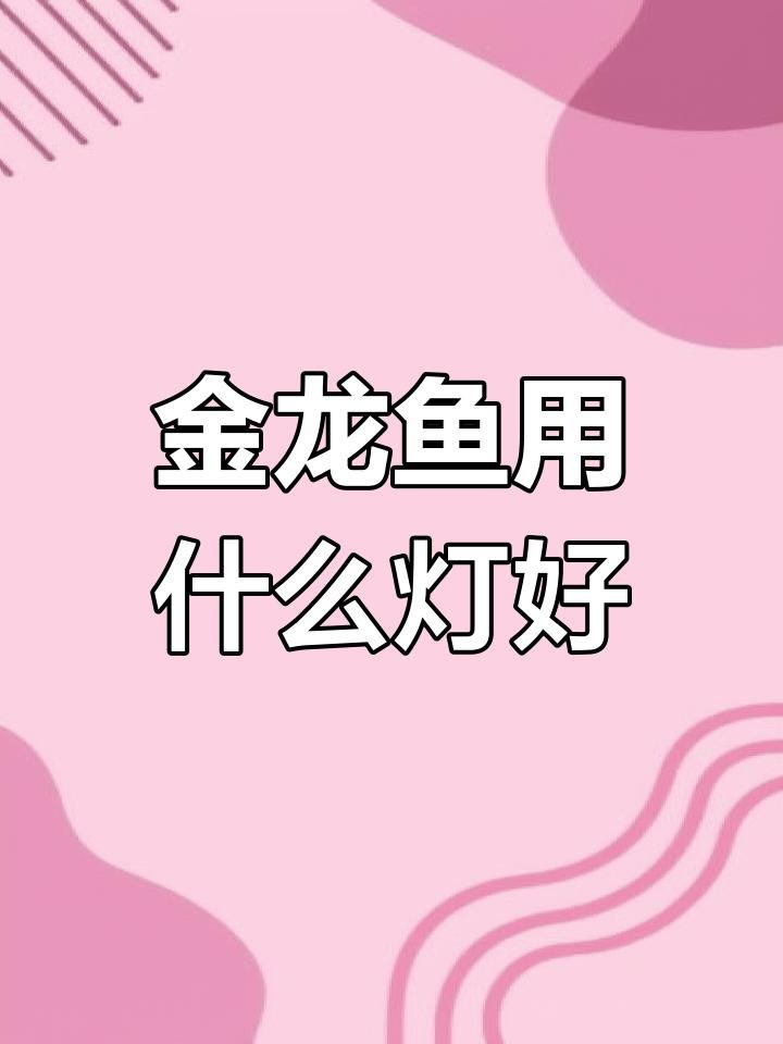 過背金龍魚燈光顏色選擇【過背金龍魚燈光選擇指南】