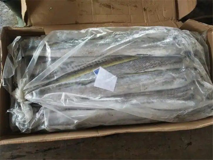 馬來西亞帶魚300_500【馬來西亞帶魚300-500】
