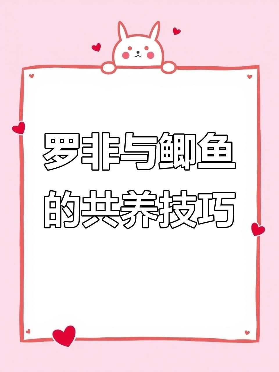 羅非魚能和什么魚混養(yǎng)【保姆羅非魚混養(yǎng)最佳搭配暮小南羅非魚和鯽魚能一起養(yǎng)嗎】