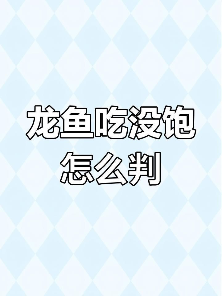 如何判斷龍魚是否饑餓？【如何判斷龍魚是否吃飽三個階段】