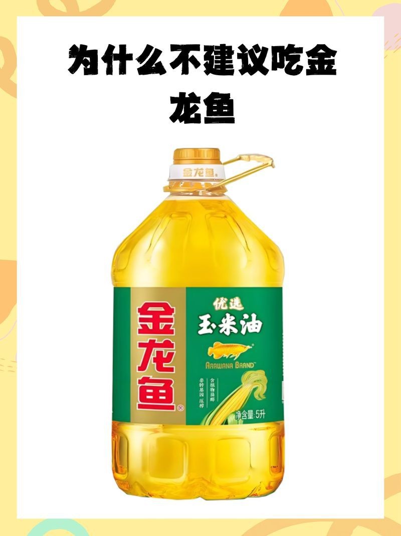 金龍魚煮了會有報應嗎【關于金龍魚煮了道家\