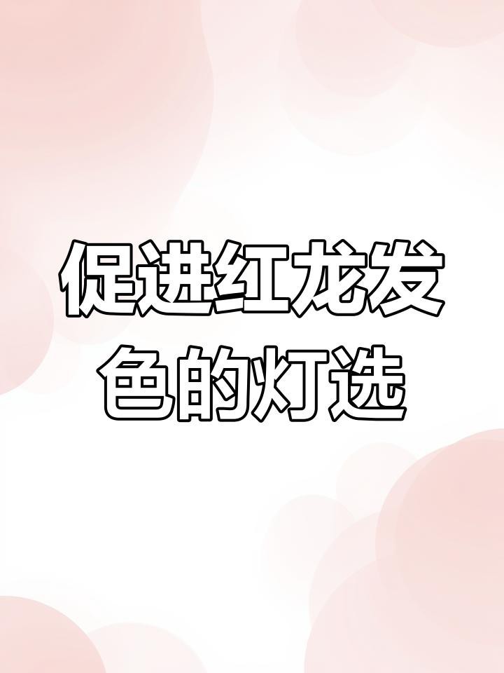 哪種紅龍發色最顯白？【嗶哩嗶哩紅龍魚有三個發色階段你知道嗎】