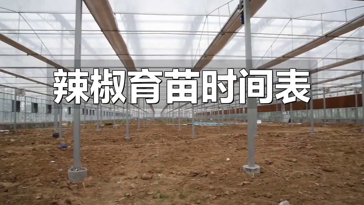 紅龍23辣椒的最佳種植時(shí)間【紅龍23辣椒最佳種植時(shí)間至關(guān)重要，種植時(shí)間至關(guān)重要】 紅龍23辣椒的最佳種植時(shí)間【紅龍23辣椒最佳種植時(shí)間至關(guān)重要，種植時(shí)間至關(guān)重要】 龍魚(yú)論壇 第1張