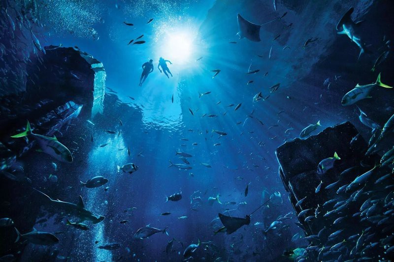 英吉沙水族店【英吉沙地區(qū)有水族館嗎】 英吉沙水族店【英吉沙地區(qū)有水族館嗎】 全國水族館企業(yè)名錄 第5張