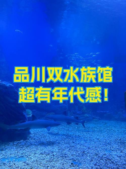 站前水族店【探訪站前水族店】