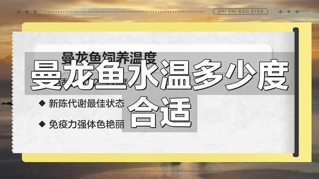 曼龍魚適合什么環境？【曼龍魚適合的養殖環境】
