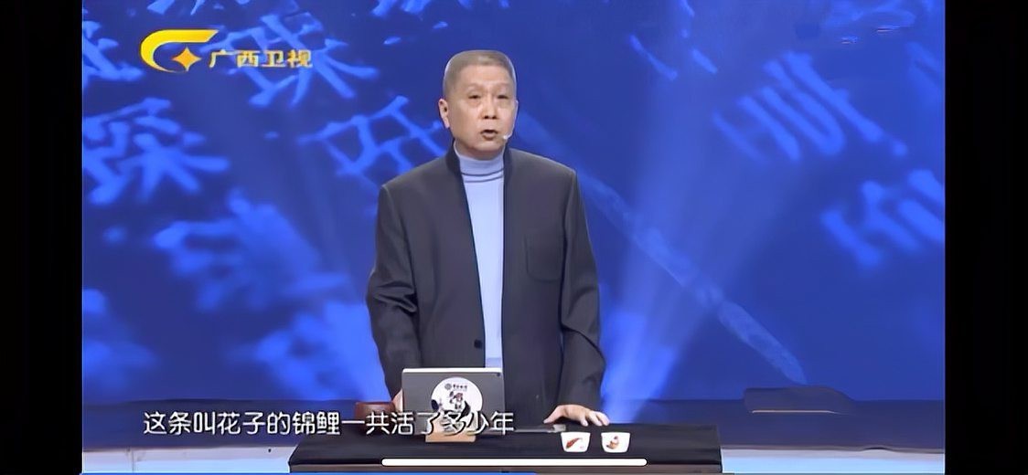 龍魚和錦鯉哪個更長壽？【龍魚和錦鯉哪個更長壽】