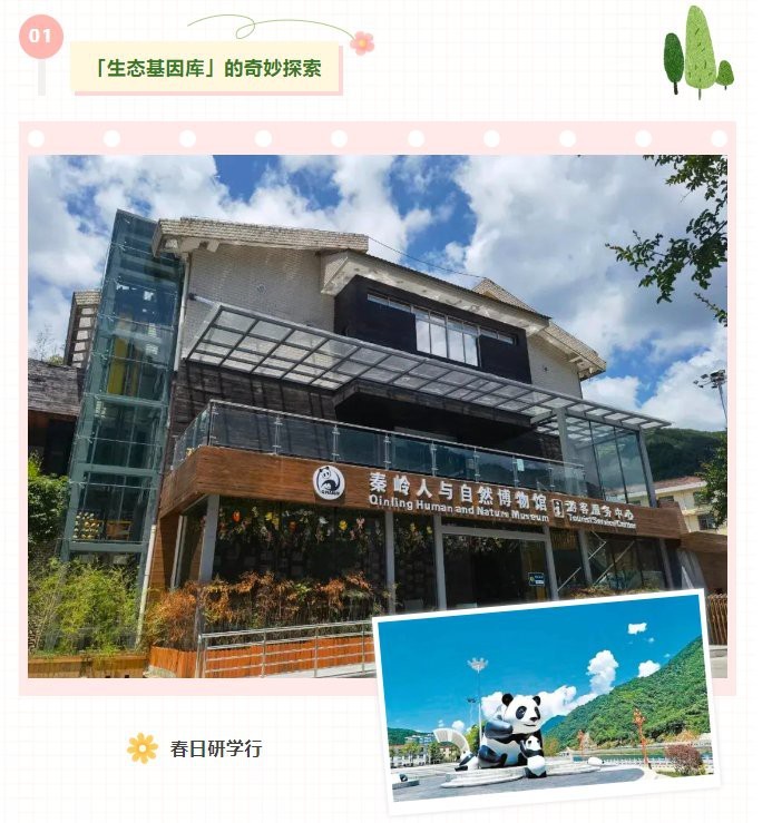 佛坪水族店【佛坪水族店：水上精靈的奇妙世界】