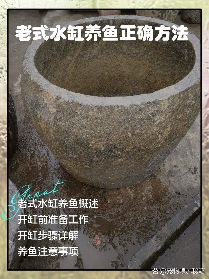 老式水缸養魚正確方法【農村老水缸如何養魚】
