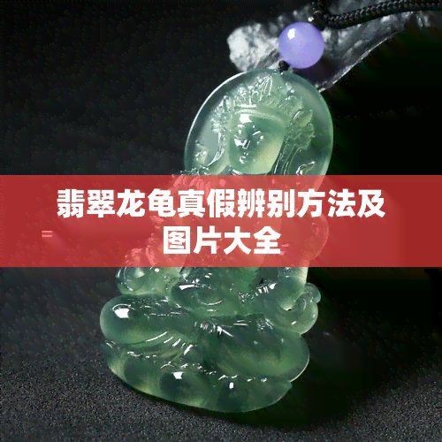 如何鑒別龍龜材質的真偽？【如何鑒別龍龜材質的真偽】