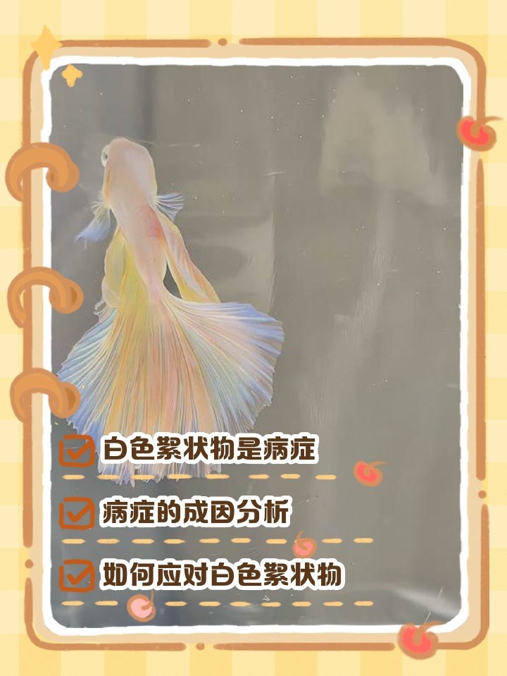 魚身體上長白色絮狀物【魚身上有白色絮狀物是什么原因】