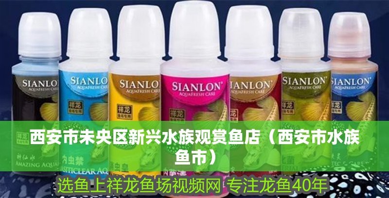 新興水族店【西安市新興水族店】
