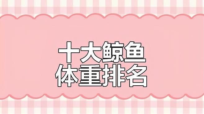 鯨魚體型大小排名【揭秘十大體型最大的鯨魚大小對比誰最大優酷視頻揭秘】