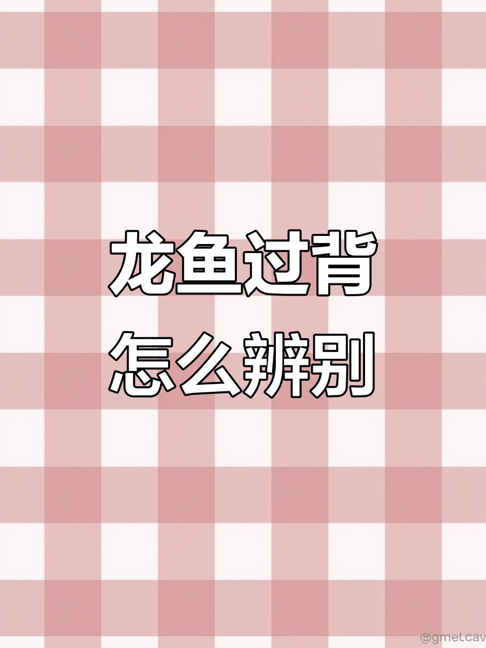 如何判斷過背金龍魚是否成熟？【如何判斷過背金龍魚是否成熟】