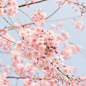 河源魚缸批發(fā)市場【廣東河源大力發(fā)展水經(jīng)濟(jì)羊城派】 全國水族館企業(yè)名錄 第4張 河源魚缸批發(fā)市場【廣東河源大力發(fā)展水經(jīng)濟(jì)羊城派】 河源魚缸批發(fā)市場【廣東河源大力發(fā)展水經(jīng)濟(jì)羊城派】 全國水族館企業(yè)名錄 第4張
