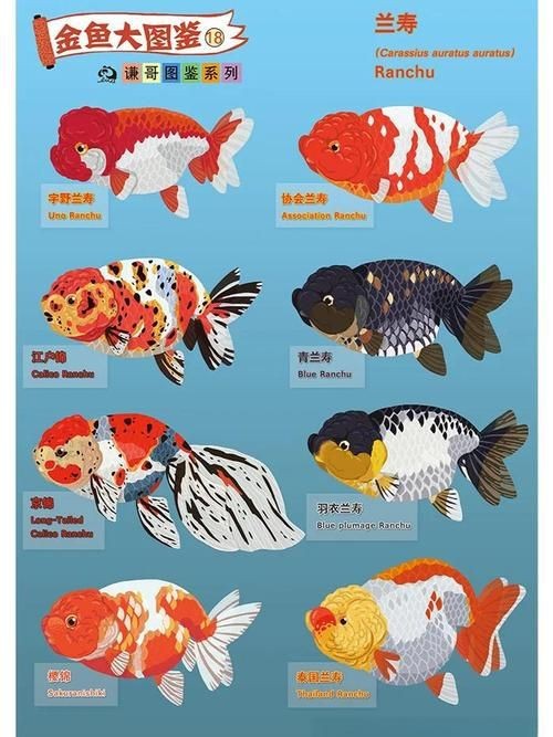 金魚108種品種圖解【《金魚108種品種圖解》】